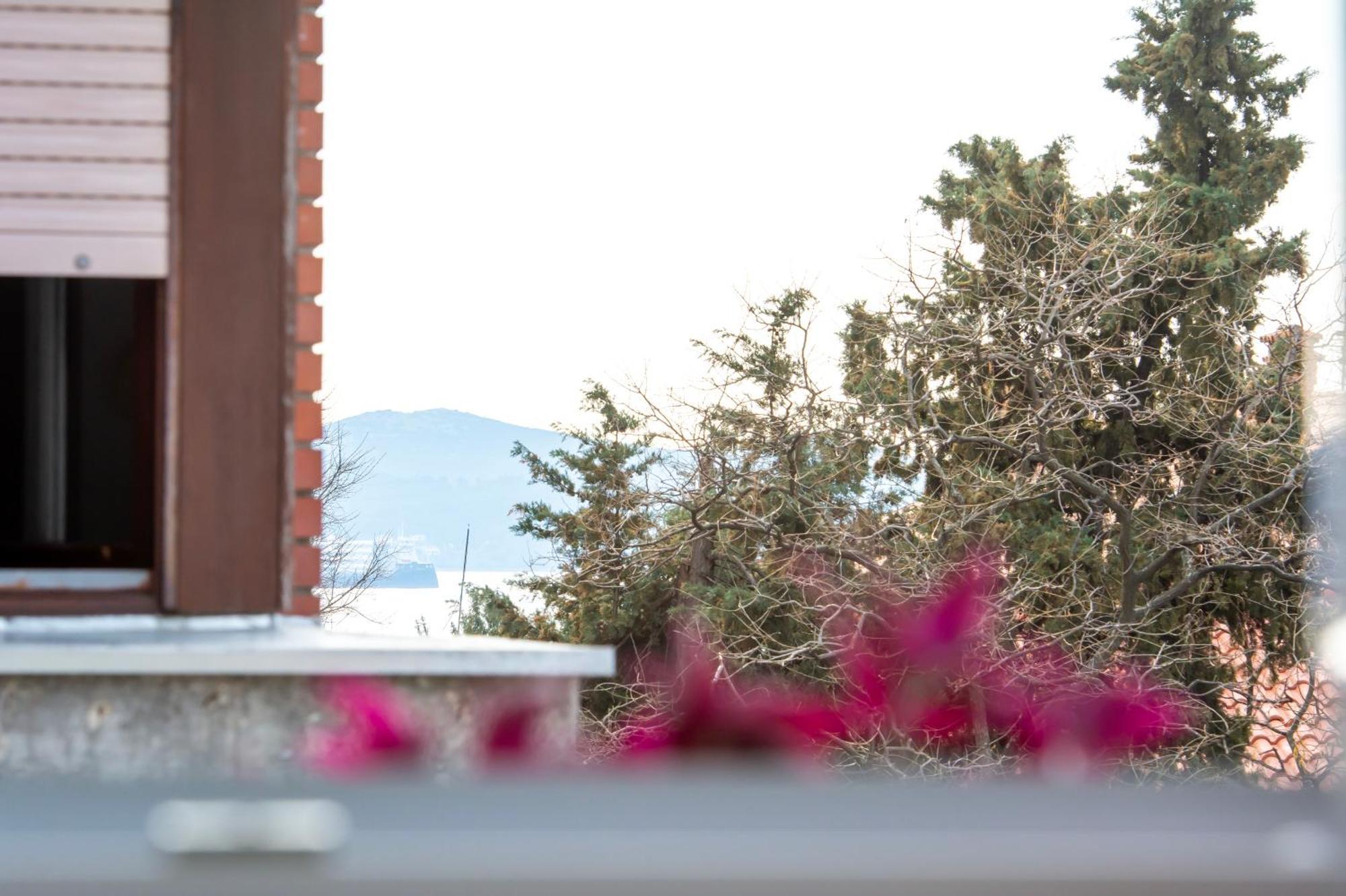 Apartman Franceska